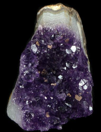 Dark Purple Amethyst Cut Base Cluster - Uruguay #36456
